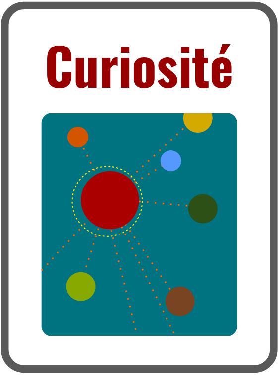 Curiosité